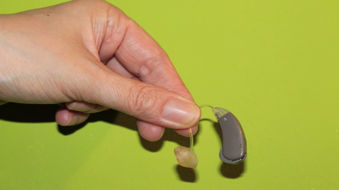 hearing aid