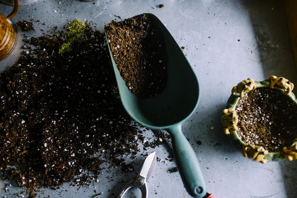 gardening soil